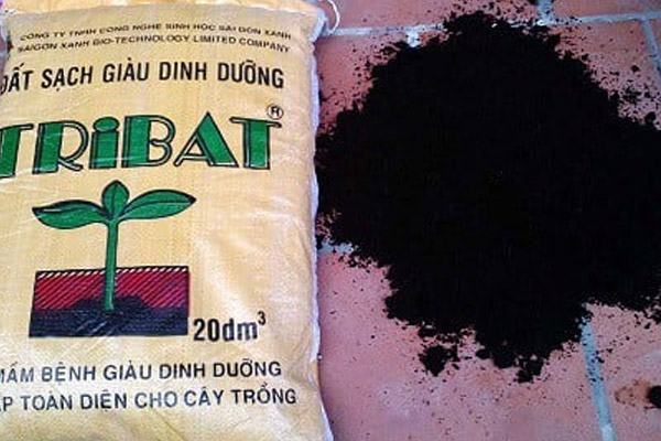 Đất hữu cơ trồng cây cảnh Tribat