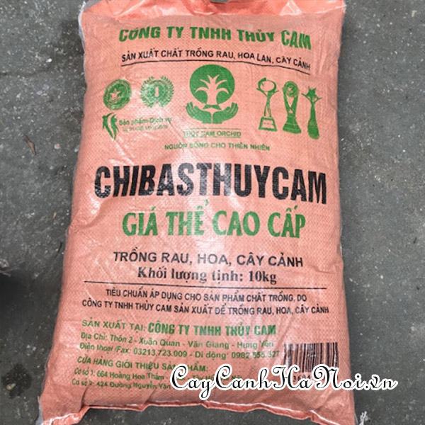 Đất trồng hoa cây cảnh cao cấp thủy cam