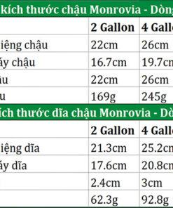 Thông tin kích thướng chậu nhựa Monrovia dòng M-series