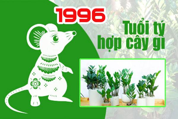 Lựa chọn cây cảnh phong thủy cho tuổi Bính Tý 1996