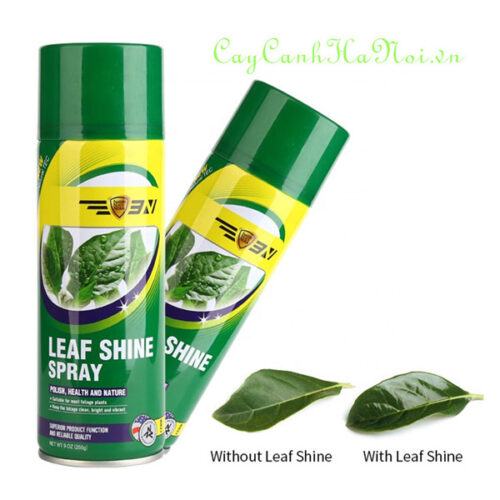 Bình xịt bóng lá Leaf shine Sbray