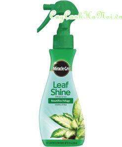 Bình xịt bóng lá Leaf shine Miracle Gro