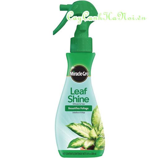 Bình xịt bóng lá Leaf shine Miracle Gro