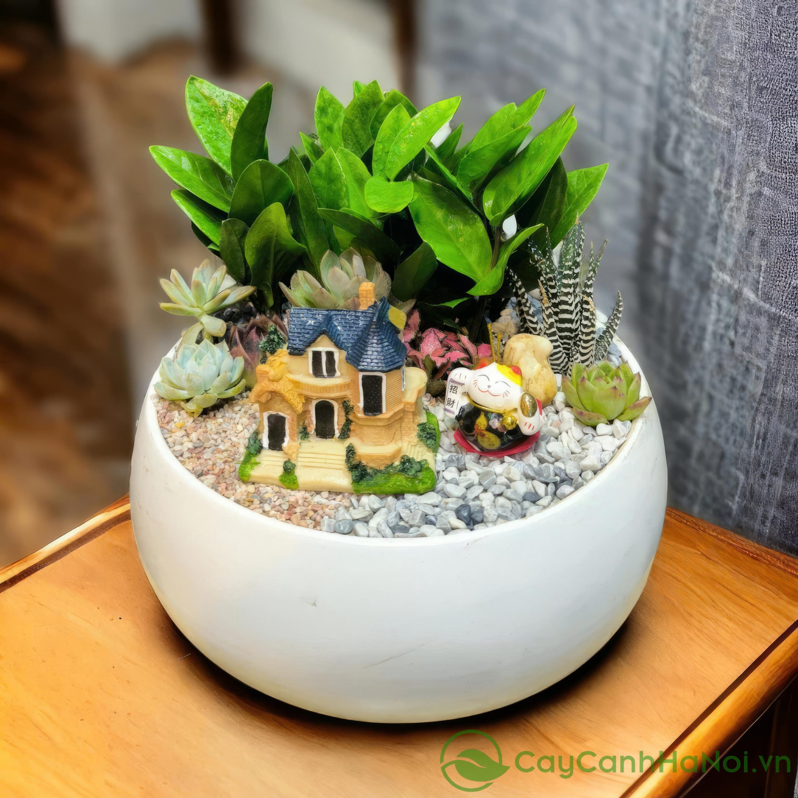 Bàn làm việc là vị trí lý tưởng để bạn đặt cây kim tiền