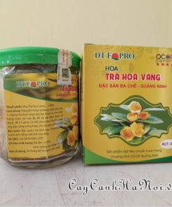 Trà Hoa Vàng Ba Chẽ Bông Sấy Lạnh 30g