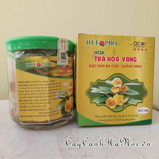 Trà Hoa Vàng Ba Chẽ Bông Sấy Lạnh 30g