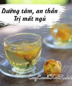 Trà hoa vàng giúp an thần dễ ngủ