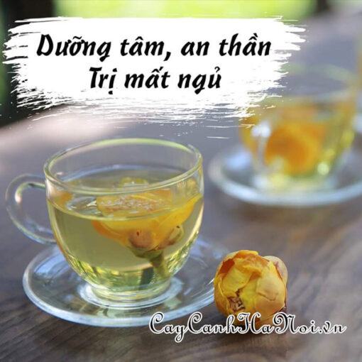 Trà hoa vàng giúp an thần dễ ngủ