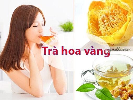 Cách dùng trà hoa vàng tươi và khô tương tự nhau