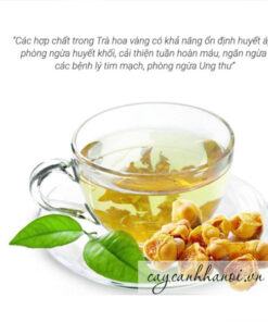 Đối tượng không nên sử dụng trà hoa vàng