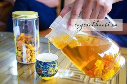 Trà hoa vàng Ba Chẽ mang chất lượng tốt