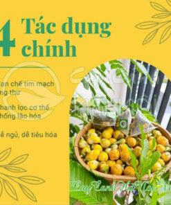 Tác dụng của trà hoa vàng