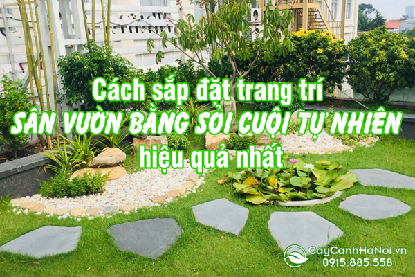 Trang trí sân vườn bằng sỏi cuội tự nhiên