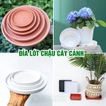 Đĩa Lót Chậu Cây Cảnh