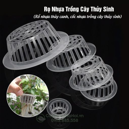 Rọ nhựa trồng cây thủy sinh