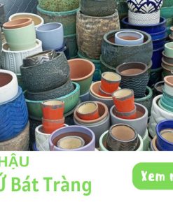 Chậu gốm sứ Bát Tràng