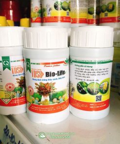 Nơi bán dung dịch thủy canh Bio - life tại Hà Nội