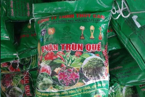 Bán sỉ lẻ phân trùn quế Thủy Cam tại Hà Nội