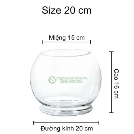 Bình thủy tinh dáng tròn size 20