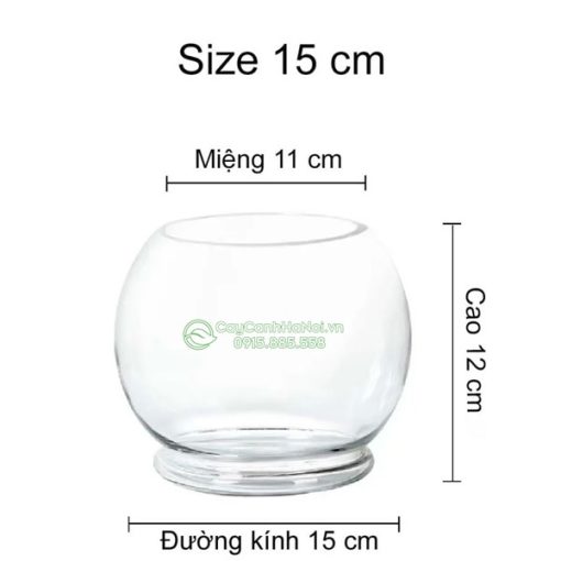 Bình thủy tinh dáng tròn size 15