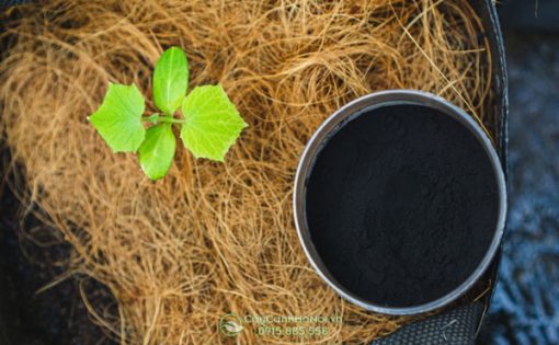 Cách sử dụng phân hữu cơ humic acid powder cho từng loại cây trồng