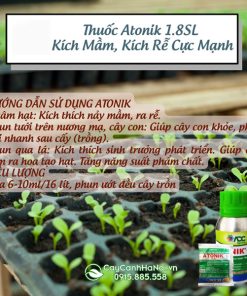 Cách sử dụng thuốc kích thích sinh trưởng Atonik