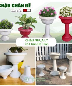 Chậu ly nhựa có chân đế tròn trồng cây