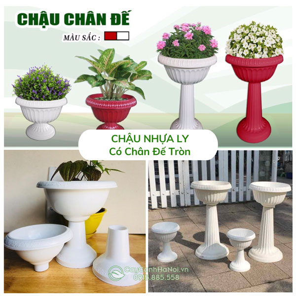 Chậu ly nhựa có chân đế tròn trồng cây