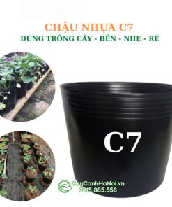 Chậu nhựa dẻo ươm trồng cây cảnh