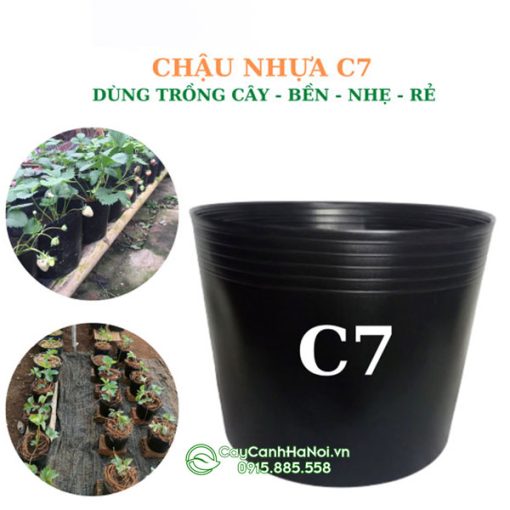 Chậu nhựa dẻo ươm trồng cây cảnh