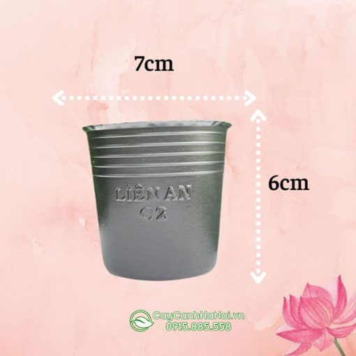 Chậu nhựa mềm C2