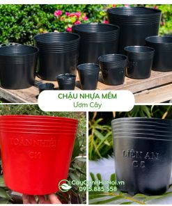 Chậu nhựa mềm ươm cây