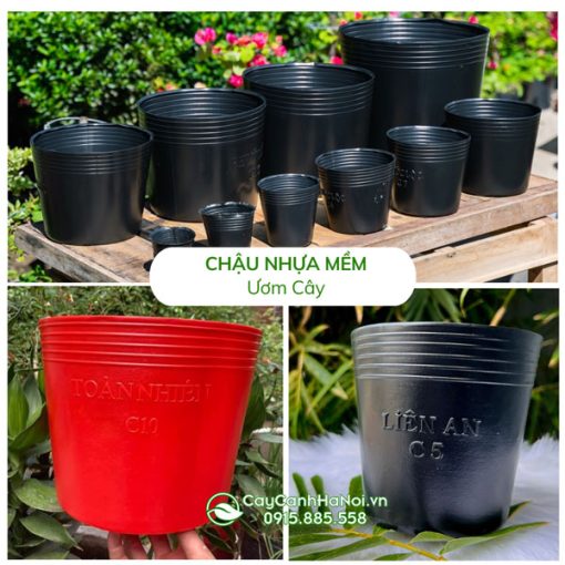 Chậu nhựa mềm ươm cây