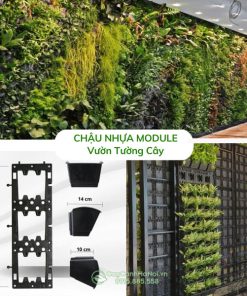 Chậu nhựa module vườn tường đứng