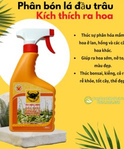 Công dụng phân bóng đầu trâu Spray 2