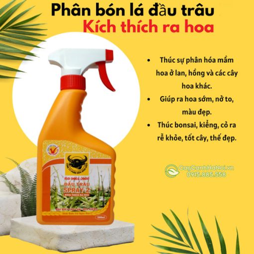 Công dụng phân bóng đầu trâu Spray 2