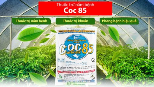 Công dụng thuốc trừ nấm bệnh COC 85