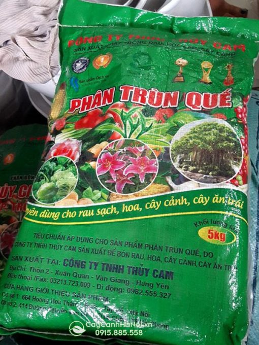 Cửa hàng bán phân trùn quế tại Hà Nội