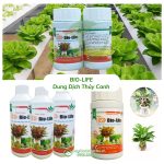 Dung Dịch Thủy Canh Bio Life