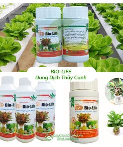 Dung dịch thủy canh Bio Life