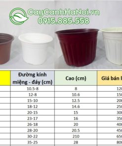 Bảng báo giá chậu nhựa dẻo ươm cây