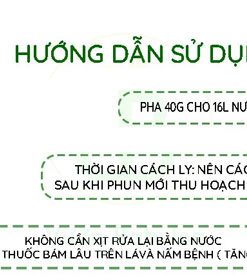 Hướng dẫn sử dụng thuốc trừ nấm bệnh COC 85