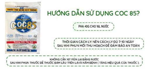 Hướng dẫn sử dụng thuốc trừ nấm bệnh COC 85