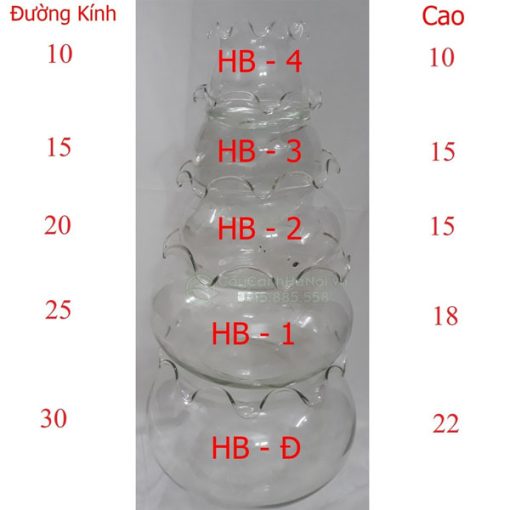 Kích thước bình thủy tinh tròn miệng bèo