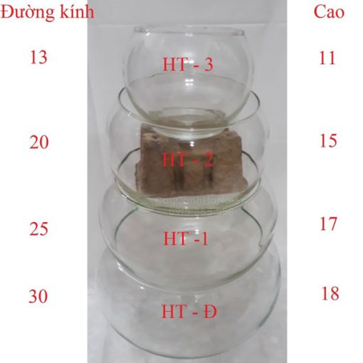 Kích thước chậu thủy tinh tròn truyền thống