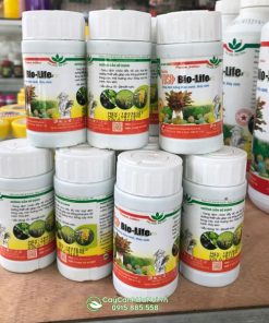 Nơi bán dung dịch thuy canh Bio Life chính hãng tại Hà Nội