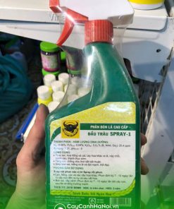 Nơi bán phân bón đầu trâu Spray cho hoa lan nảy mầm ra lá