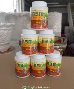 Nơi bán phân bón lá N3M kích rễ cực mạnh