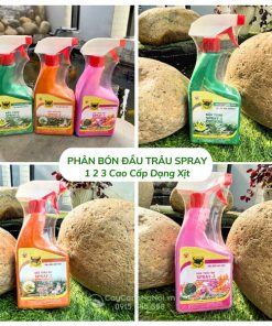 Phân bón Đầu Trâu Spray 1 2 3 cao cấp dạng chai xịt