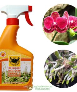 Phân bón đầu trâu Spray 2 kích hoa, kích rể